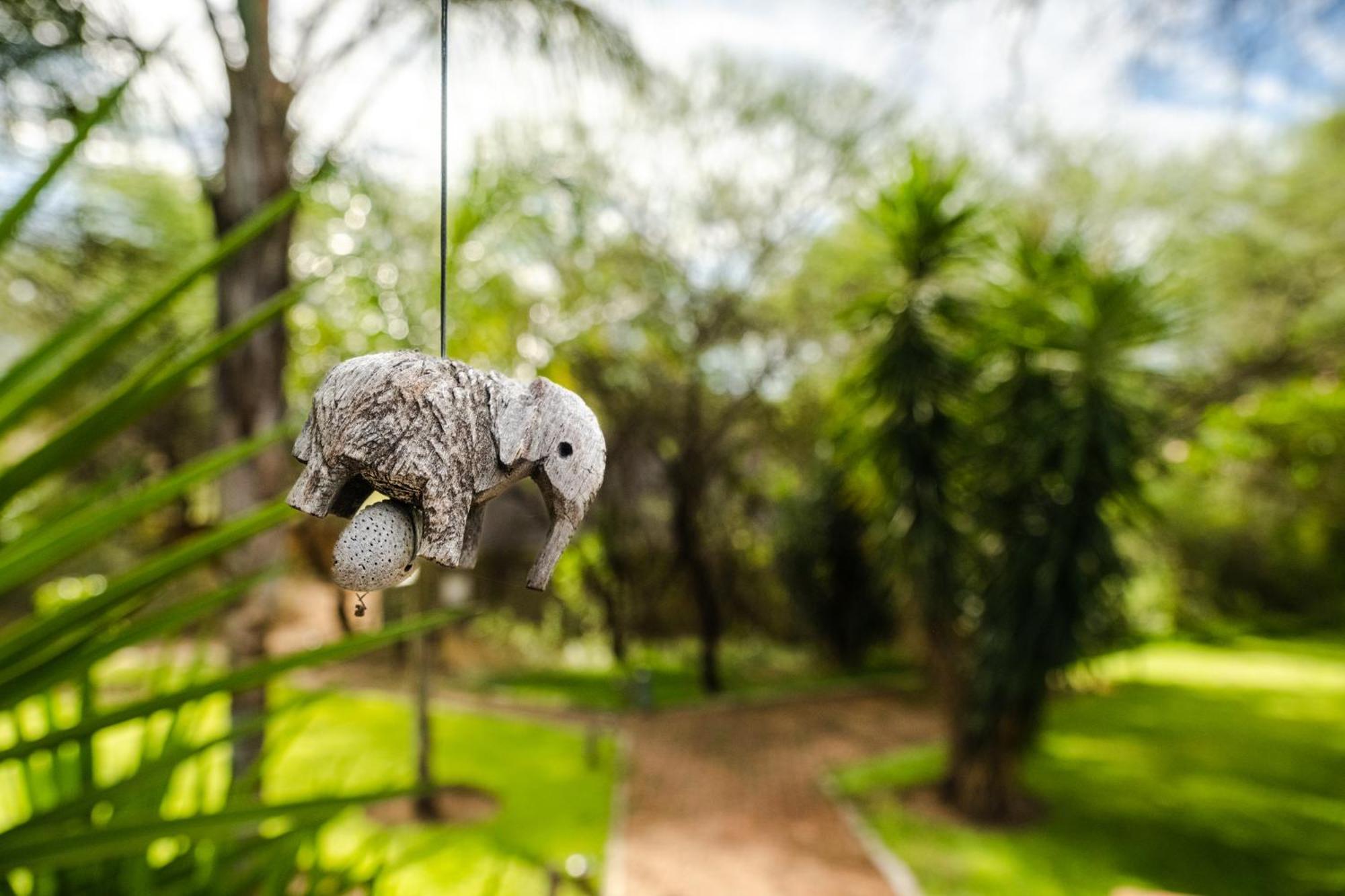 Taranga Safari Lodge Rundu Esterno foto
